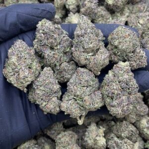 Jet Fuel Gelato