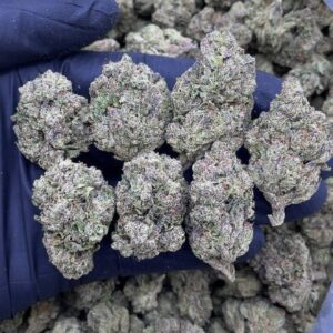 Bubblegum Runtz