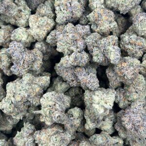Zlushies Licensed Indoor