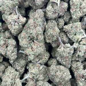 Toxic Gas Licensed Dep