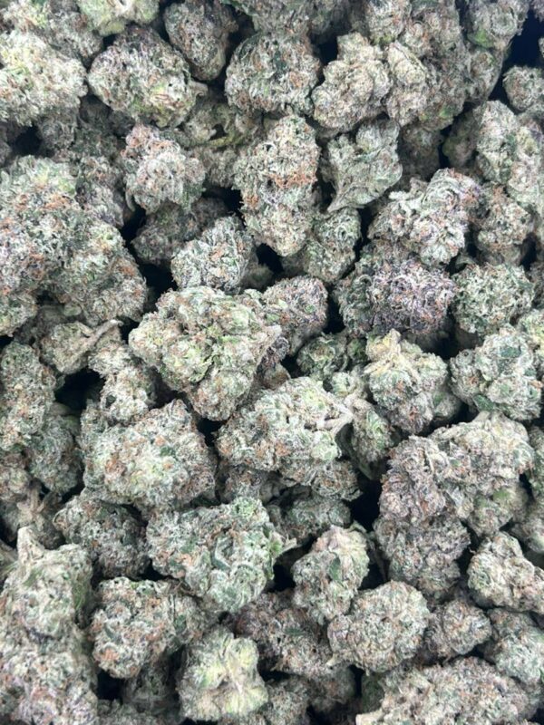 Cartel Candy Licensed Indoor