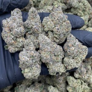Stardawg Guava