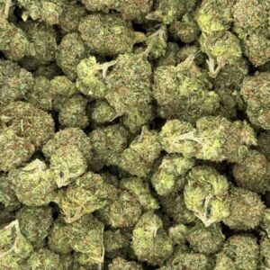 Mochi Runtz Licensed Dep