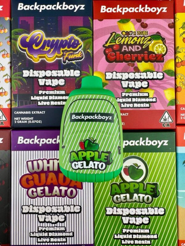 BACKPACKBOYZ - 2G DISPOSABLE
