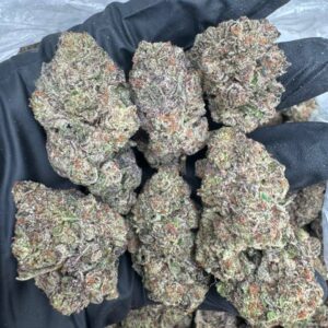 Garlic Cookie