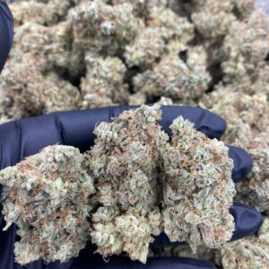 GORILLA GLUE
