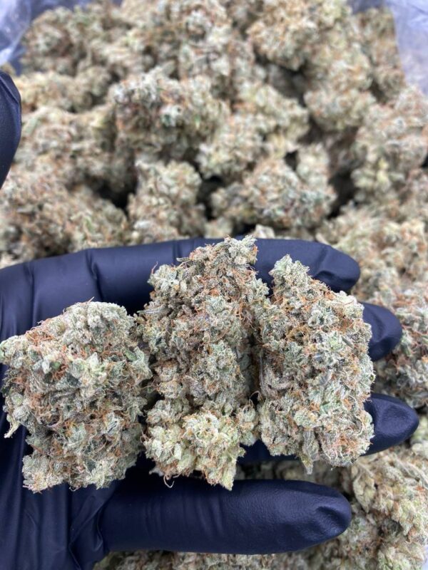 GORILLA GLUE