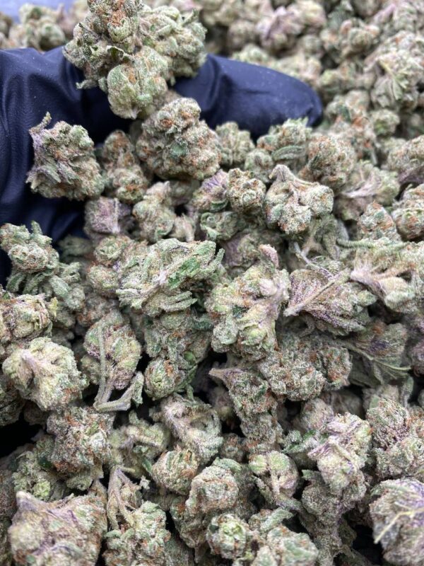 BLUE Z SMALLS