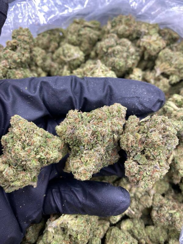 BLUE BUBBLEGUM