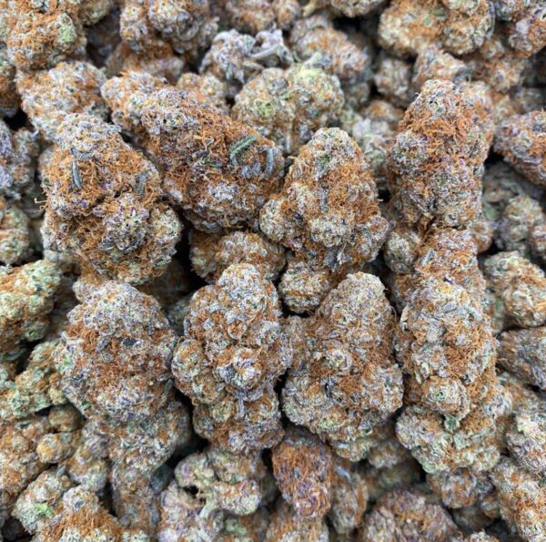Skywalker skywalker