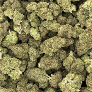 Rainbow Runtz Licensed Dep