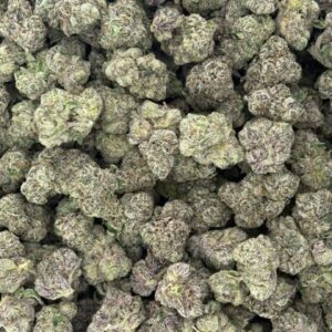 Black Cherry Gelato Licensed Indoor