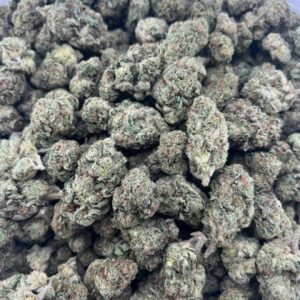 Gas Face Licensed Dep