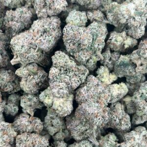 Lychee Lechera Licensed Indoor