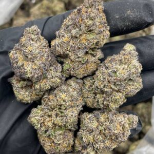 Sweet Sunset indoors