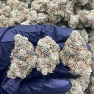 SKYWALKER OG