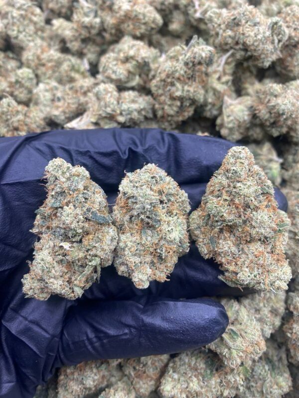 SKYWALKER OG