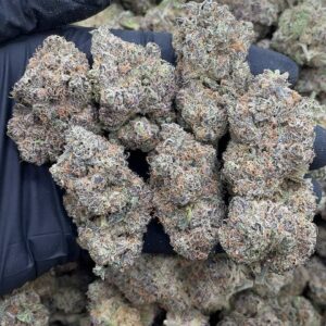 Grape Pie Gelato