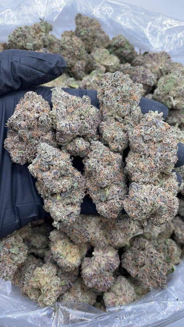 Grape Pie Gelato
