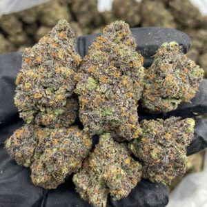 Blue Rhino