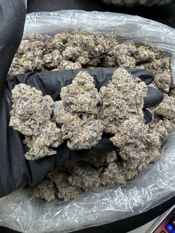 Blueberry Zkittlesz