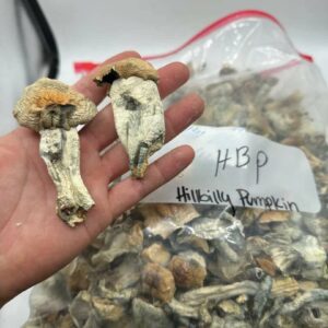 SHROOMS