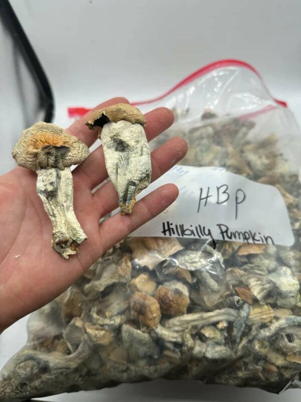 SHROOMS