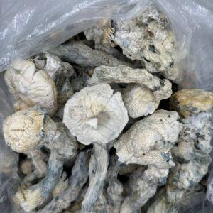 NUT-CRACKERS