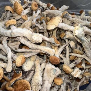 Golden Teachers & Blue Meanies