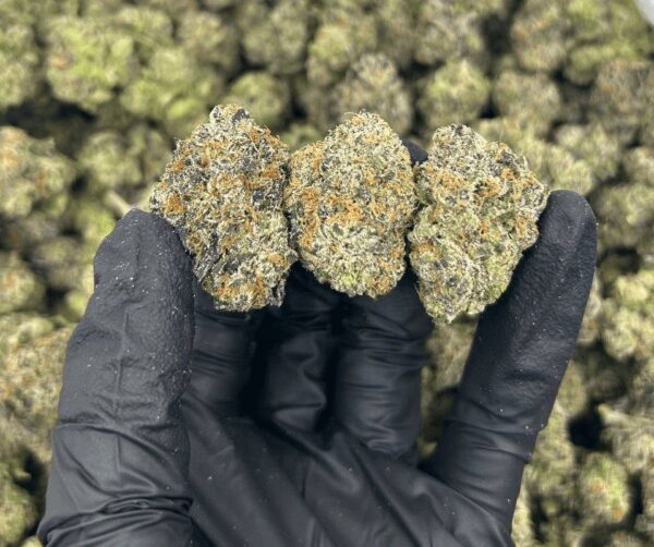 Hell candy Gush