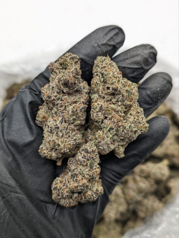 Cotton Candy Gas
