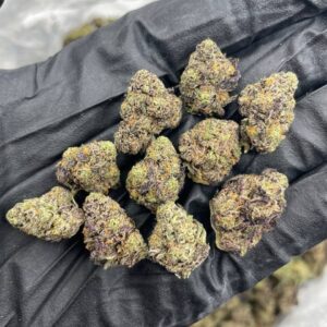 Blueberry small