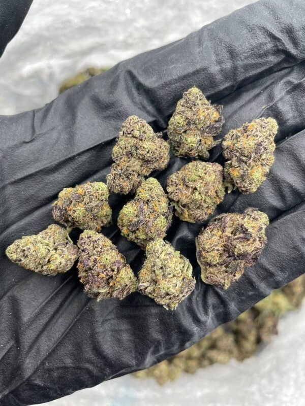 Blueberry small