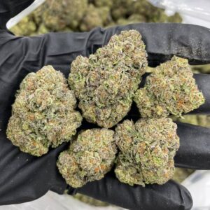 Frosted Gelato