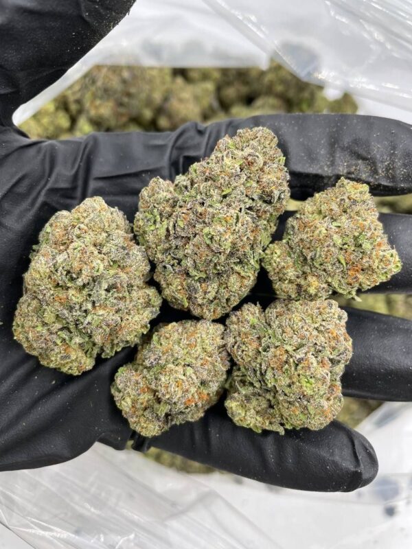 Frosted Gelato