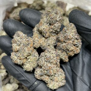 Super Bubblegum Gelato